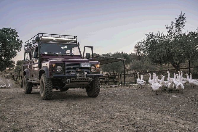 Private Truffle Hunting in Chianti from Florence - FAQ