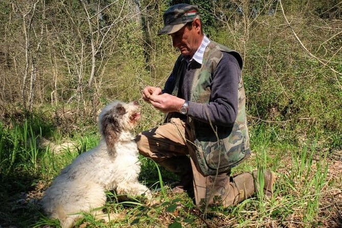 Private Truffle Hunting in Chianti from Florence - A Deep Dive into the Truffle Hunting in Chianti