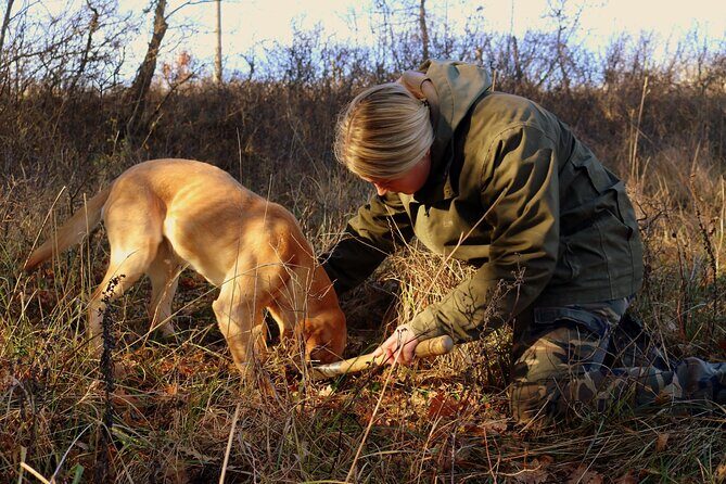 Private Truffle Hunting in Slovenia with meal - Zdenko Tartufi - Discover the Secrets of Slovenian Truffles with Zdenko Tartufi