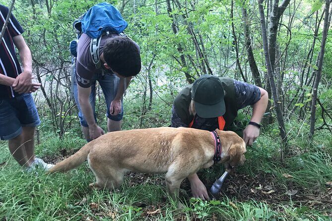 Private Truffle Hunting in Slovenia with meal - Zdenko Tartufi - FAQ