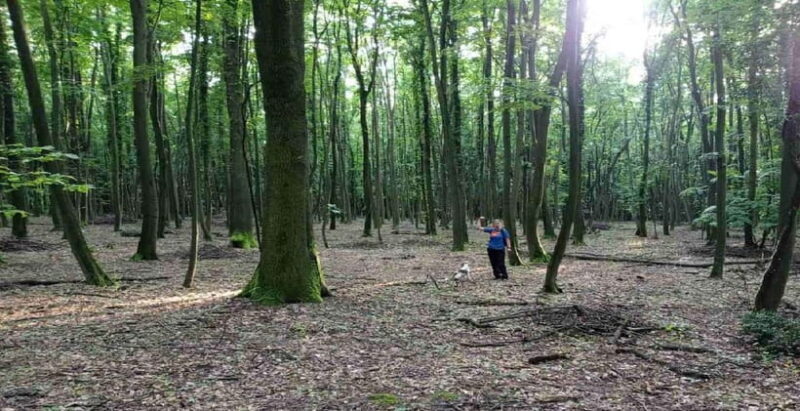 Private TruffleHunting Tour from Belgrade Lunch with Wine - A Genuine Taste of Serbia: Private Truffle Hunting with Lunch and Wine
