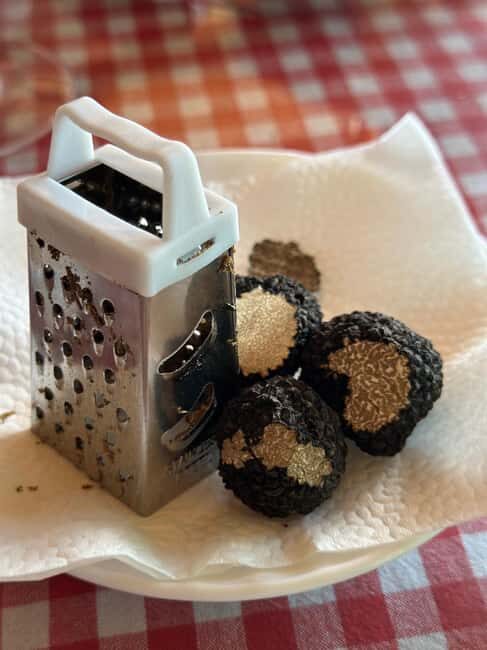 Private TruffleHunting Tour from Belgrade Lunch with Wine - Final Thoughts