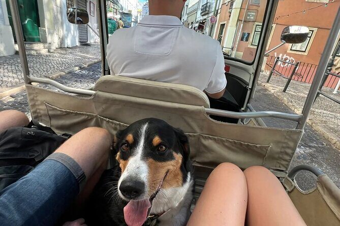 Private Tuk-Tuk Lisbon Tour - The Sum Up