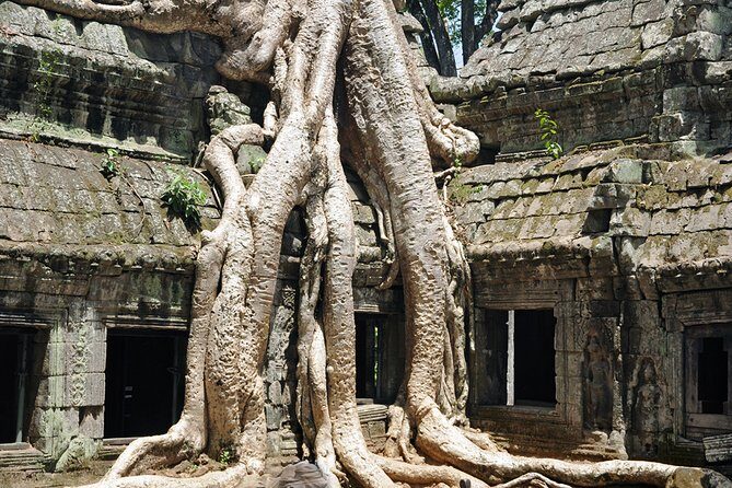Private Tuk Tuk Tour to Angkor Wat and Small Circle with Two Extras - Who Will Love This Tour?
