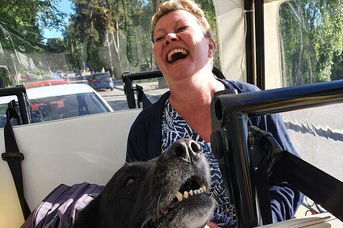 Private TukTuk guided Tour in Helsinki 2,5 hrs - An In-Depth Look at the Helsinki Tuk-Tuk Experience