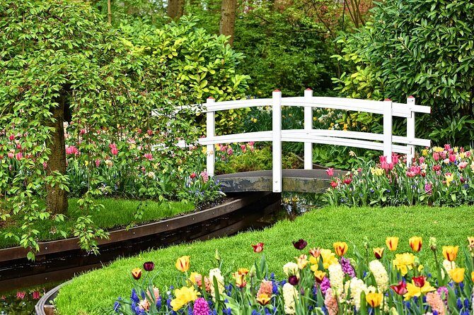 Private Tulip Fields, Windmills and Cheese Tour from Amsterdam - What Makes This Tour Stand Out?