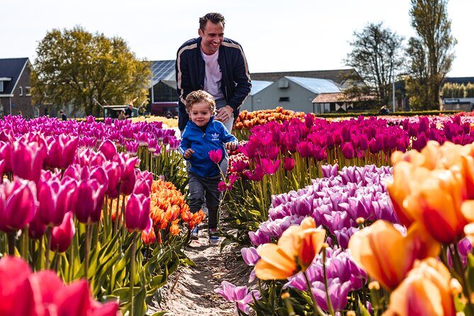 Private Tulip Fields, Windmills and Cheese Tour from Amsterdam - FAQ
