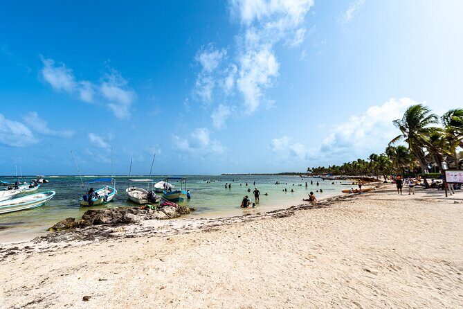 Private Tulum Akumal Cenotes Experience - Authentic Perspectives: What Travelers Say