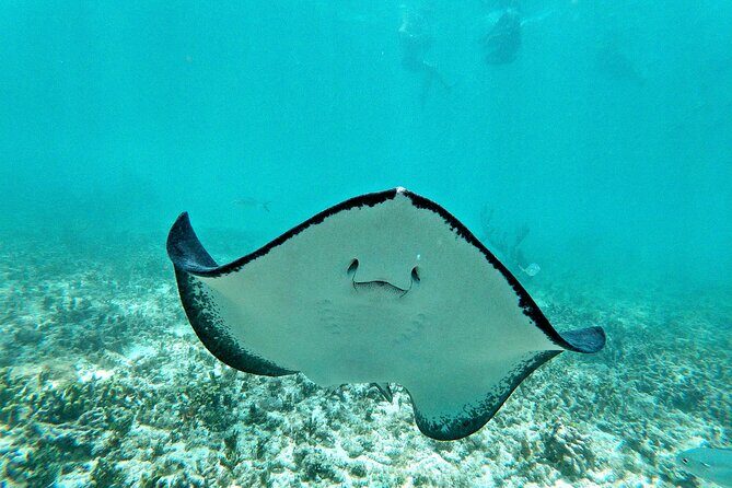 Private Tulum mayan ruins & Snorkel with Turtles in Akumal Adventure - Who Should Consider This Tour?