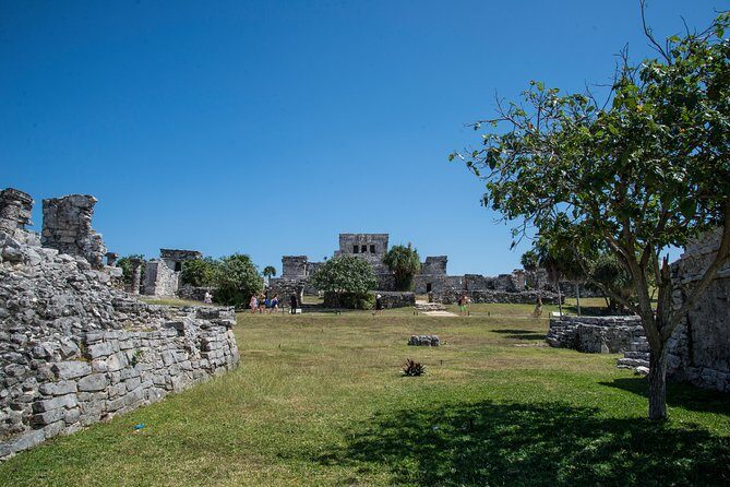 Private Tulum Ruins, Turtles in Akumal and Cenote Adventure - A Swim in Xtun Cenote