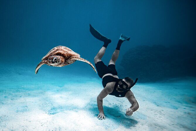 Private Turtle and Ray Tour Rarotonga - FAQ