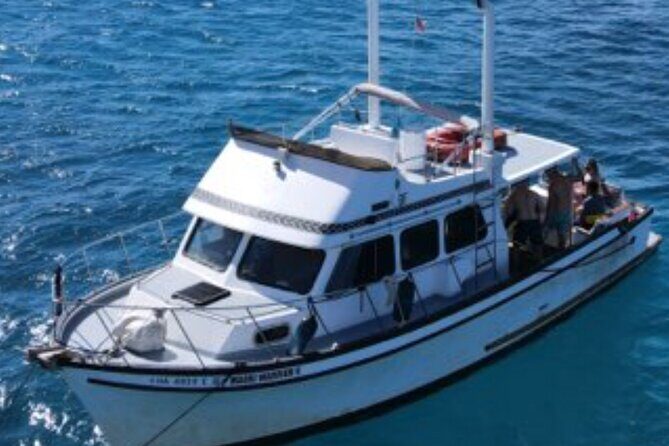 Private Turtle Canyon Snorkel Tour - Up to 6 Passengers - Practical Details
