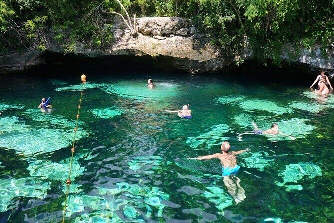 Private Turtle encounter + Cenote Adventure! Express Tour - A Closer Look at the Experience