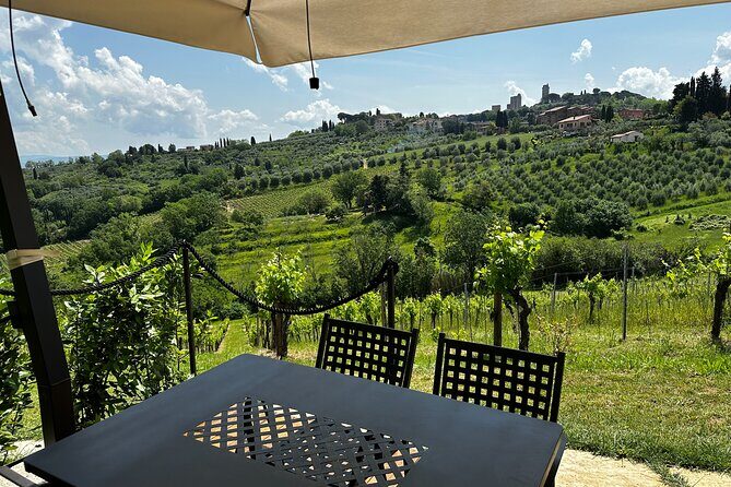 Private Tuscan Lunch with Wine & Evo oil tasting in the Vineyard - Key Points