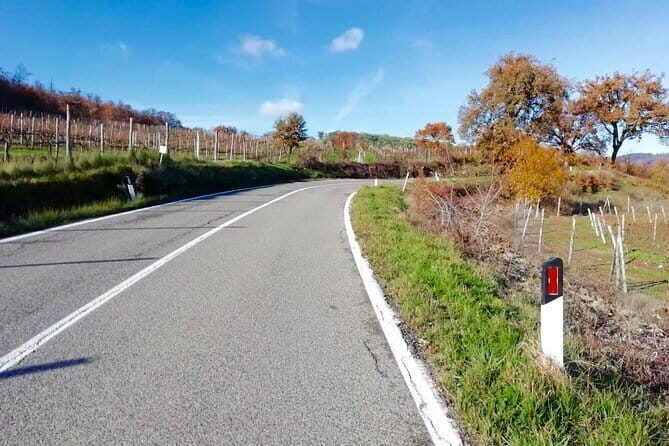 Private Tuscany Cycling Tour from Florence - An In-Depth Review of the Tuscany Cycling Experience