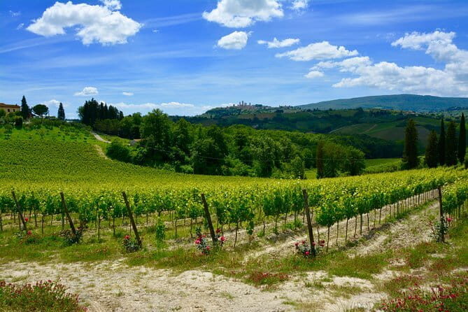 Private Tuscany Day Tour: San Gimignano and Chianti Wine Region from Florence - Who Is This Tour Best For?