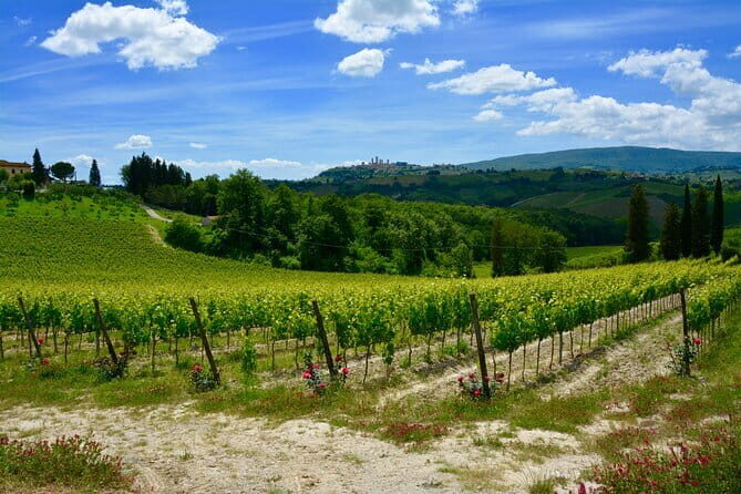 Private Tuscany Day Tour: San Gimignano and Chianti Wine Region from Florence - A Closer Look at the Itinerary