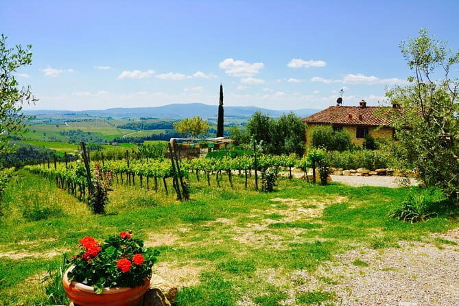 Private Tuscany Day Tour: Siena and Chianti Wine Region from Florence - What Travelers Say About the Experience