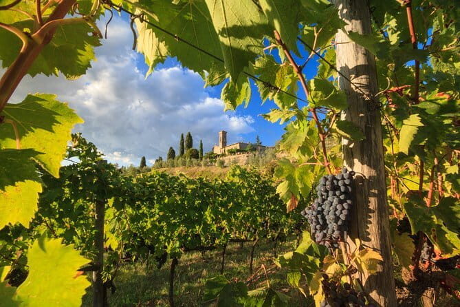 Private Tuscany Tour from Florence Including Siena, San Gimignano and Chianti Wine Region - Key Points