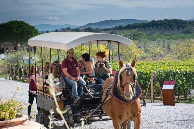 Private Tuscany Tour from Florence Including Siena, San Gimignano and Chianti Wine Region - Deep Dive into the Experience: What’s Truly Valuable