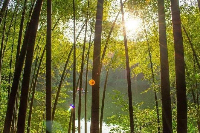 Private Two-Day Shu'nan Bamboo Forest with Farmhouse Stay - Final Thoughts