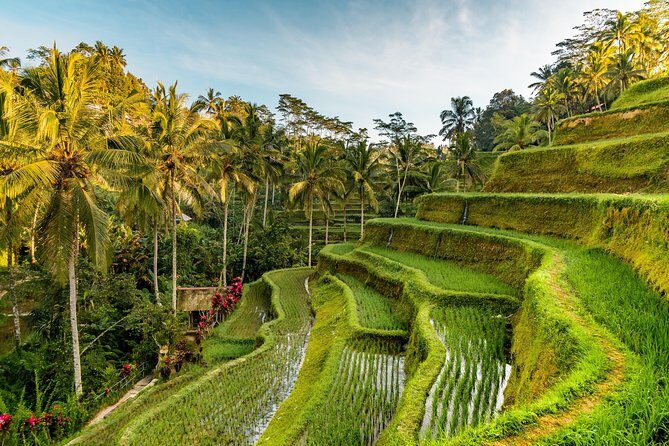 Private Ubud Day Tour - Frequently Asked Questions