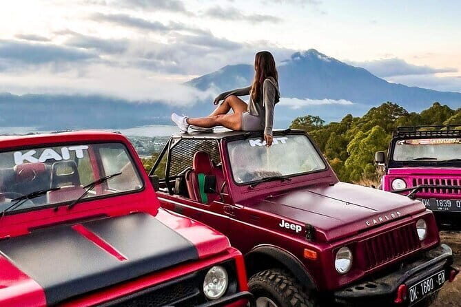 Private Ubud Tour, Sunset Tanah Lot Temple with Transfer - Who Should Consider This Tour?
