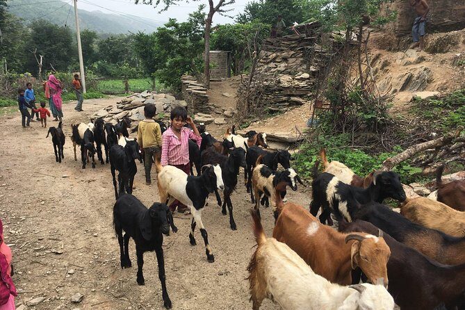 Private Udaipur Village Tour by Tuk-Tuk or by Car - A Closer Look at the Itinerary