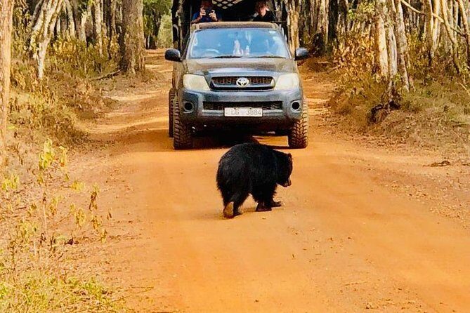 Private Udawalawe Nationalpark Jeep-Safari - FAQ