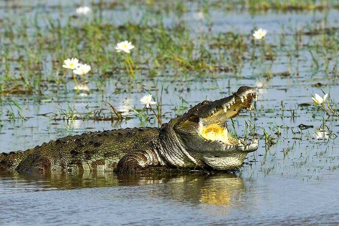 Private Udawalwe Jeep Safari Galle from Bentota Kalura Hotels - Why This Tour is a Great Choice