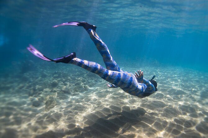 Private Underwater Photoshoot - Who Will Love This Tour?