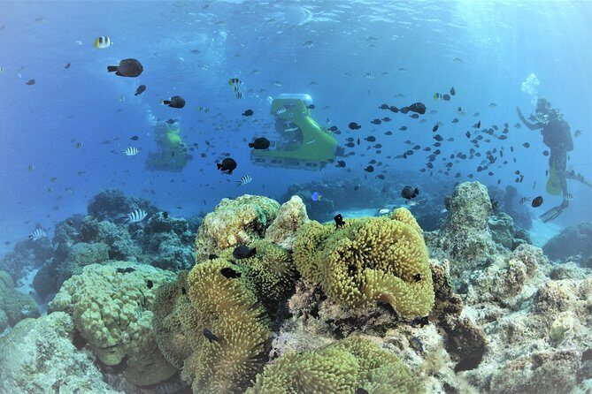 Private Underwater Scooter - Final Thoughts