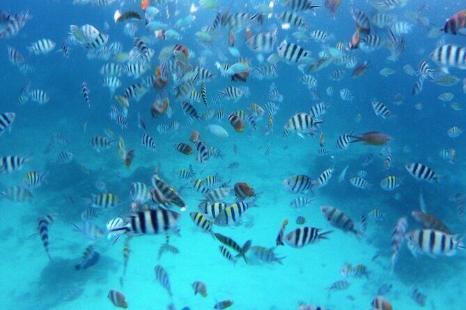 Private Undiscovered 3 Gili Islands Tour - Exploring the Private Undiscovered 3 Gili Islands Tour in Lombok