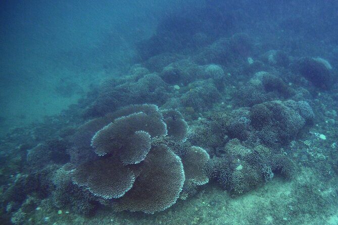 Private Undiscovered 3 Gili Islands Tour - Who Is This Tour Best Suited For?