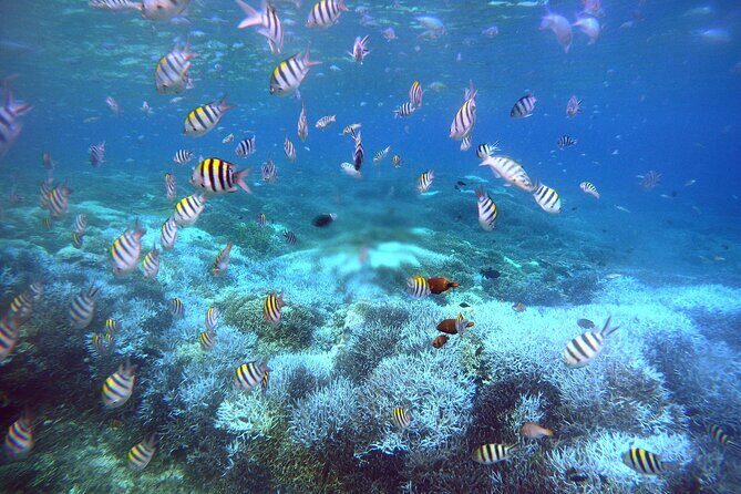 Private Undiscovered 3 Gili Islands Tour - FAQs