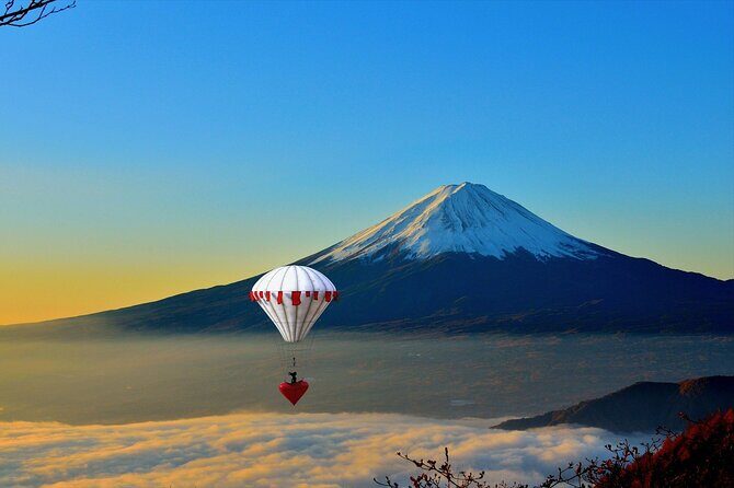 Private Unforgettable Mt Fuji Tour with English Speaking Driver - Who Should Consider This Tour?