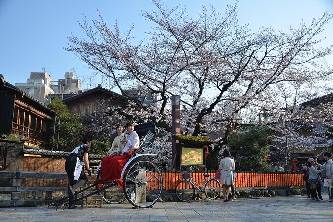 Private & Unique Kyoto Cherry Blossom "Sakura" Experience - Key Points