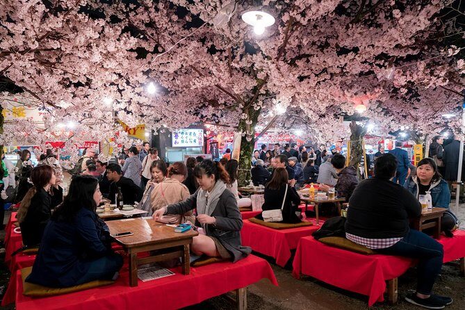 Private & Unique Kyoto Cherry Blossom "Sakura" Experience - Final Thoughts