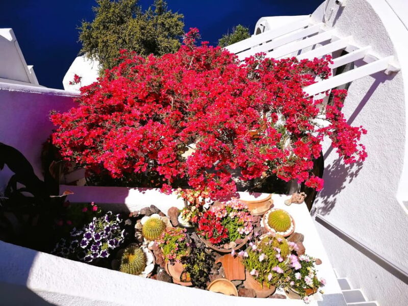 Private Unseen Authentic Santorini Half Day Shore Excursion - The Experience & Atmosphere