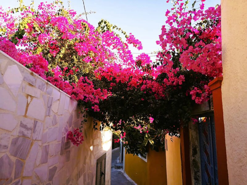 Private Unseen Authentic Santorini Half Day Shore Excursion - The Sum Up