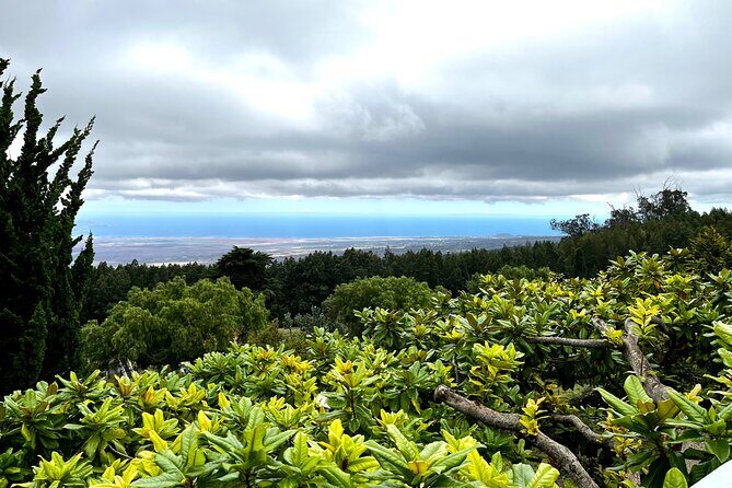 Private Upcountry Farm Tour on Maui - Key Points
