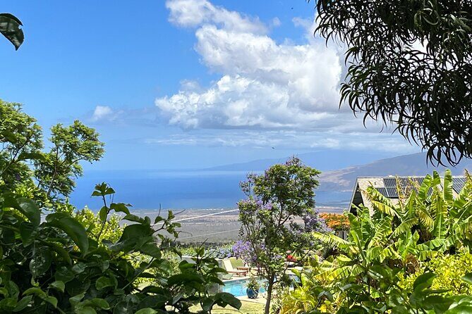 Private Upcountry Farm Tour on Maui - Final Thoughts: Is the Maui Upcountry Farm Tour Worth It?