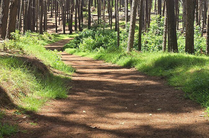 Private Upcountry Hiking Tour - Final Recommendation