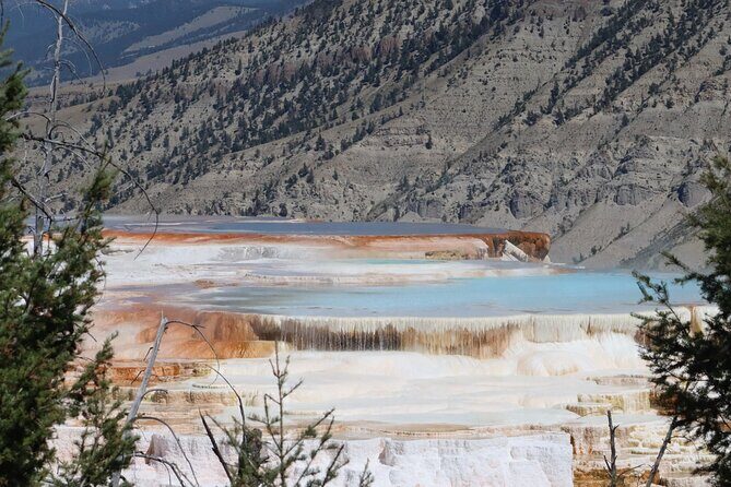 Private Upper Loop Grand Teton, Lower Loop Scenic & Wildlife 3 Day Tours - A Deep Dive into the Yellowstone and Grand Teton Experience