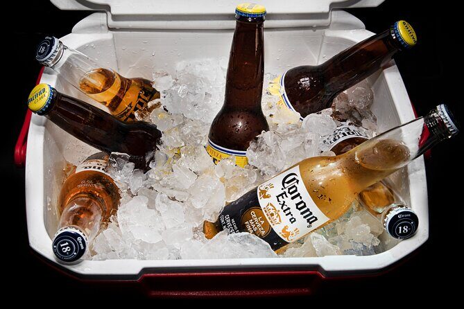 Private VAN Round-Trip from Airport to Hotels in The Corridor - Why Choose This Transport Service?