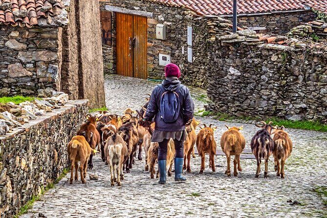 Private Van Tour to Schist Villages of Lousã - A Closer Look at the Tour Experience