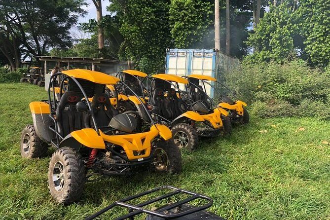 Private Vehicle Hire plus Driver with Yumi Tours - The Sum Up: Is This Experience Right for You?