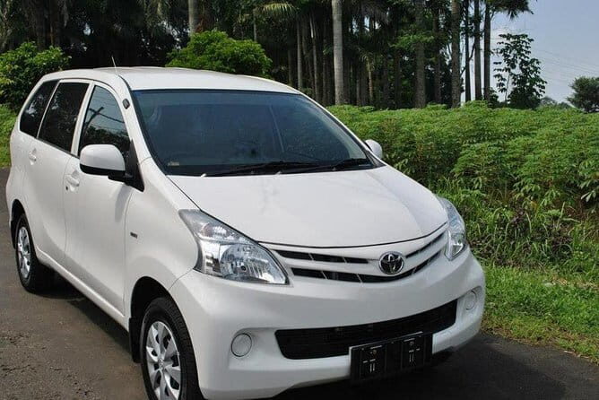 Private Vehicle with Driver at Bali Free & Easy-10 Hours - The Sum Up