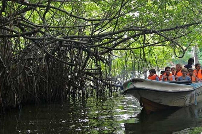 Private Vehicle with Driver-Guide for any day Tour in Sri Lanka - The Itinerary Breakdown: What You Can Expect