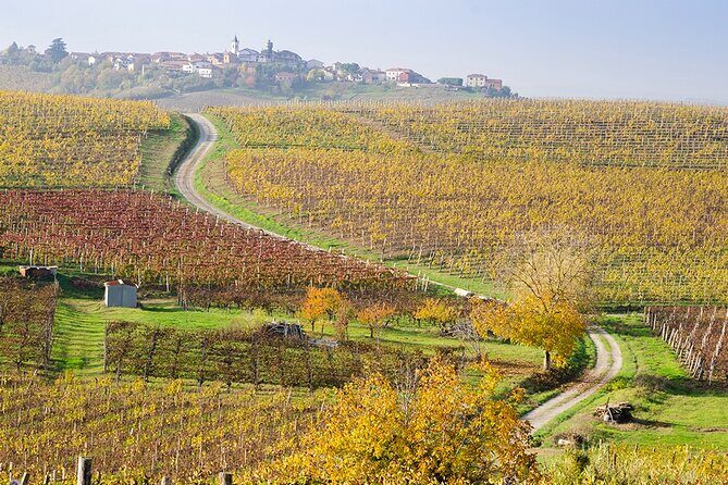 Private Vespa Tour "Among the hills of Barolo and Barbaresco" - FAQ